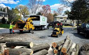 Best Artificial Turf Installation  in Sturtevant, WI